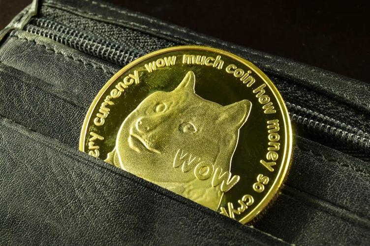 doge币转入tp钱包|tp苹果最新版下载·(官网)您的通用钱包,交易,安全性,第1张